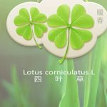 银蛇-繁花游戏库